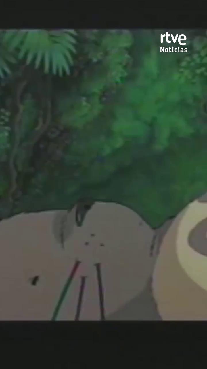 El Studio Ghibli recibe el Premio Princesa de Asturias de Comunicación y Humanidades