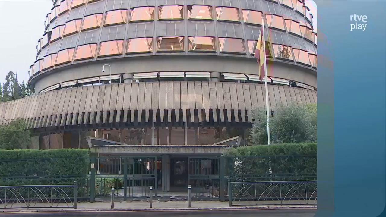 El Constitucional inicia el estudio del recurso del Defensor del Pueblo sobre el voto de los nietos
