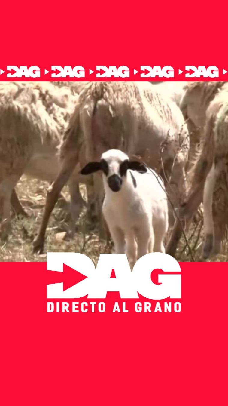 Irene elige la ganadería para no alejarse de su familia y su tierra