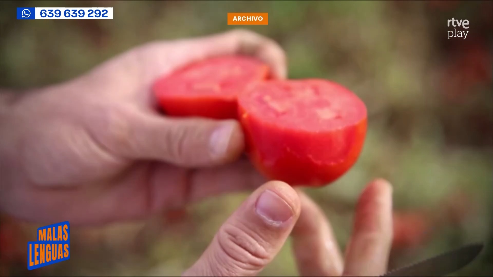 🍅 Van a construir una planta de biometano al lado de cultivos de tomate.
