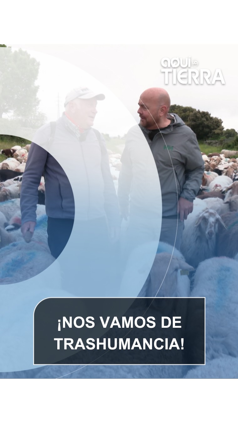 🐑 Las vías pecuarias tienen un papel fundamental como corredor ecológico y una importancia clave en nuestra historia y economía.