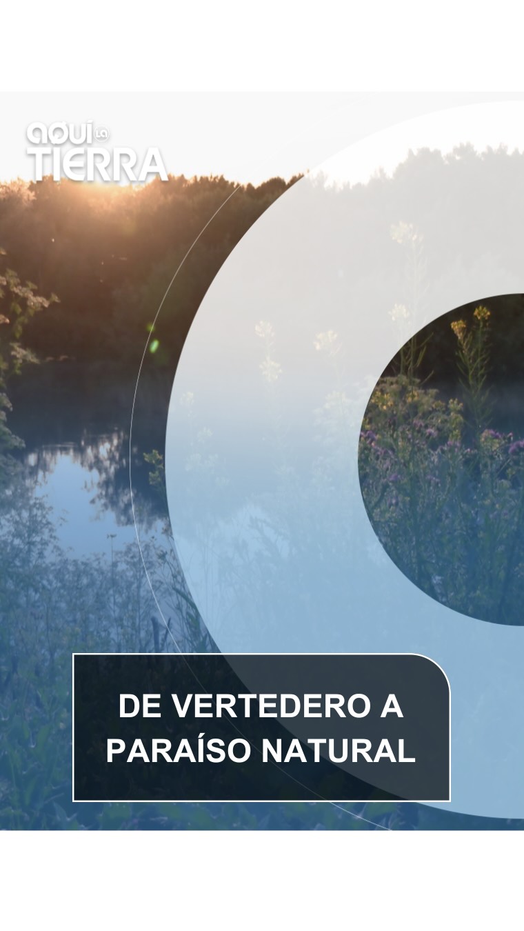 ¿Sabías que muchos vertederos se están sellando o reconvirtiendo en espacios naturales llenos de vida?