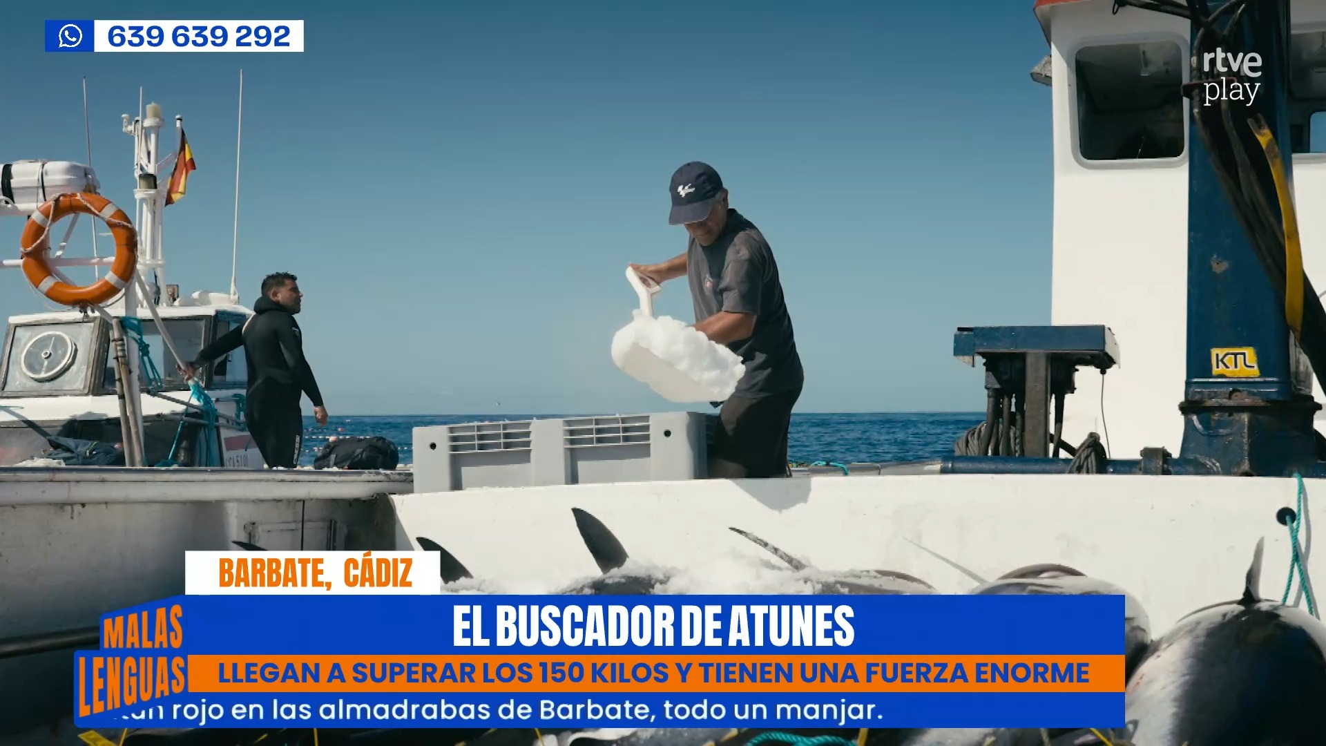 🐟 El buscador de los atunes en Barbate, Cádiz.