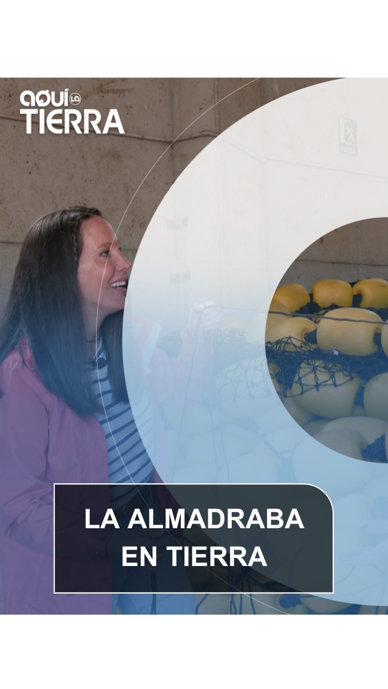 🐟 La almadraba no solo se vive en el mar… también se pelea en tierra.