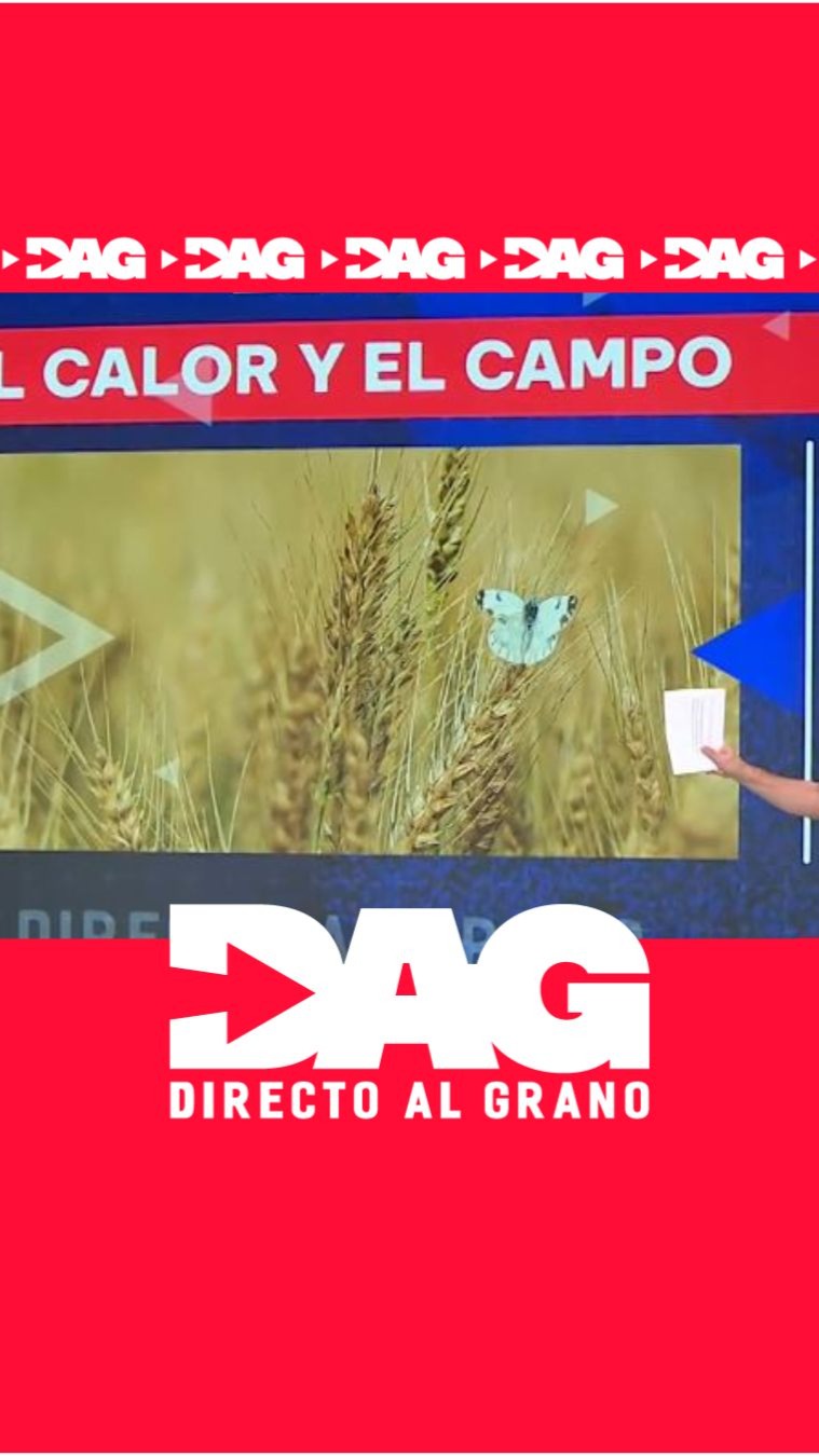 El calor extremo amenaza las cosechas españolas tras un invierno lluvioso