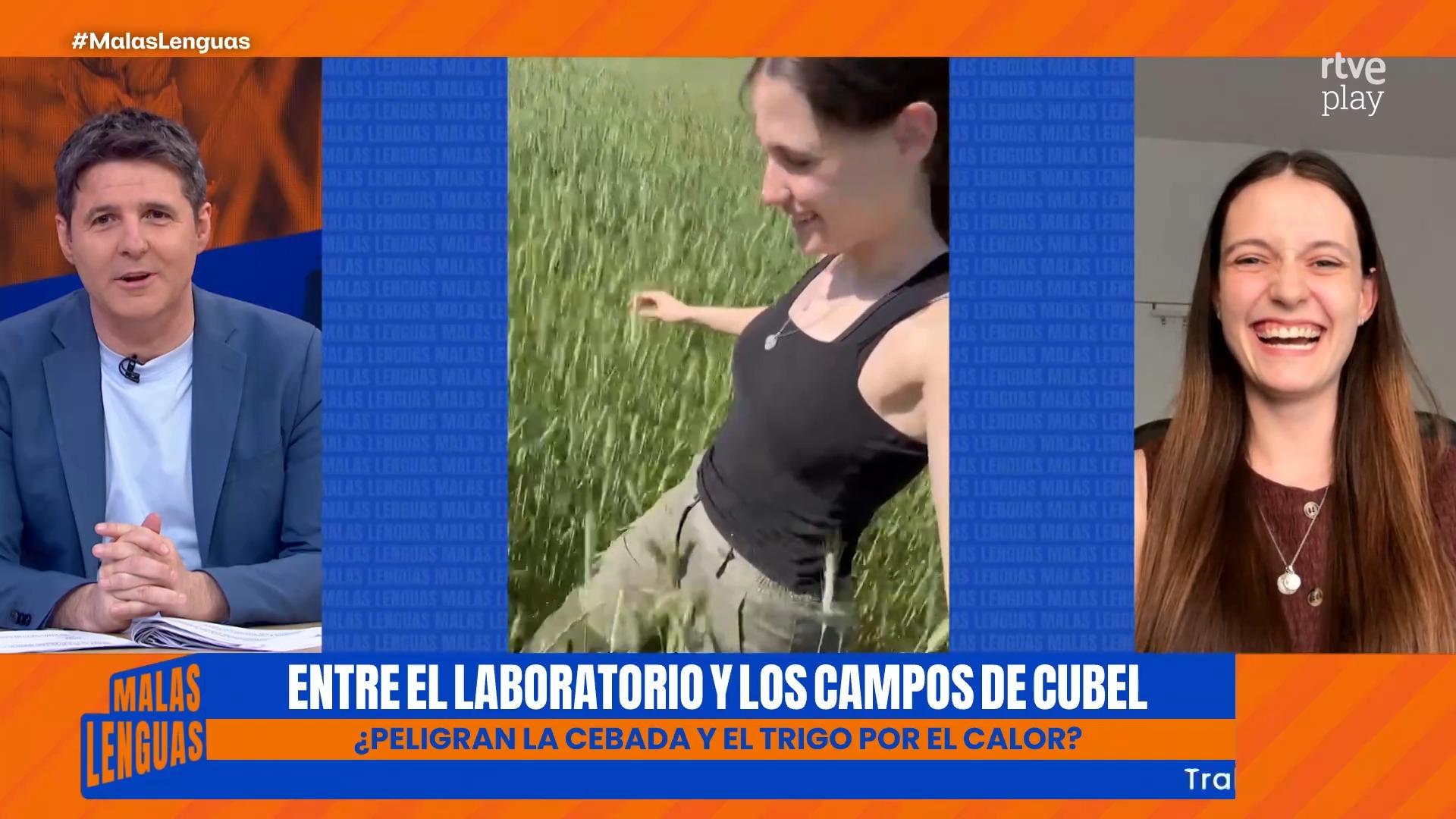 El calor prematuro seca la cebada y reduce la cosecha de cereal
