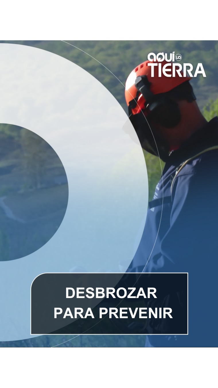¿Sabes qué es el desbroce?