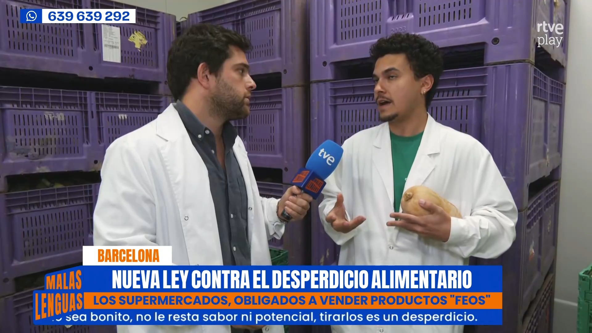 Nueva ley contra el desperdicio: supermercados venderán frutas y verduras imperfectas