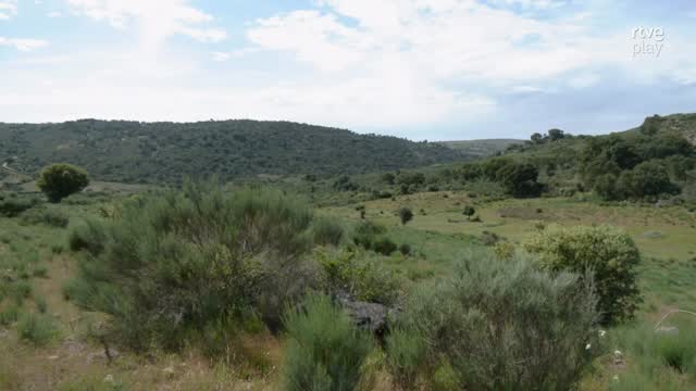 Portugal conserva algunas de las razas autóctonas más antiguas y resistentes de la Península.