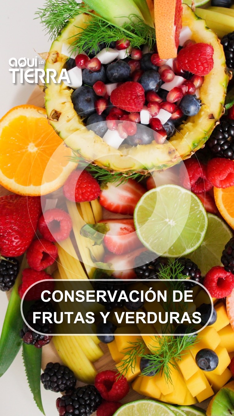 Expertos explican cómo conservar frutas y verduras para alargar su vida útil