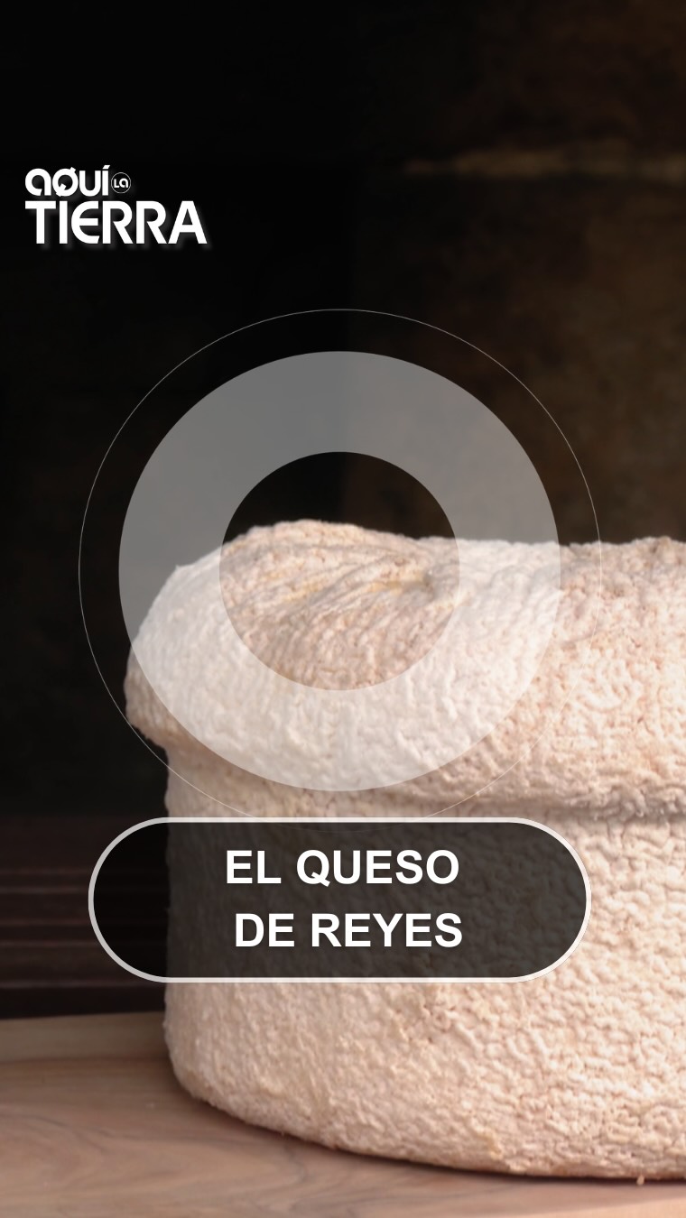 Carlos Reija rescata el queso O Cebreiro madurado y lo corona como mejor de España