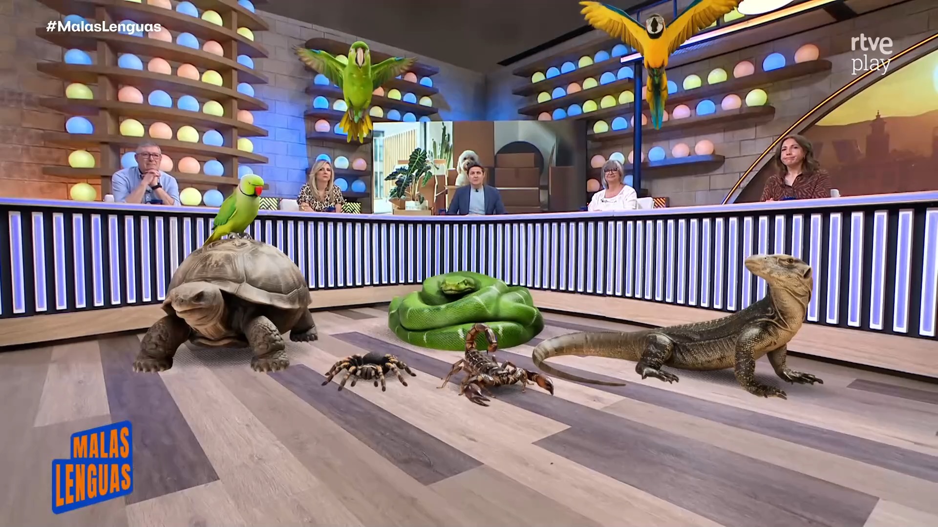 Crece un 15% el número de mascotas en los hogares españoles