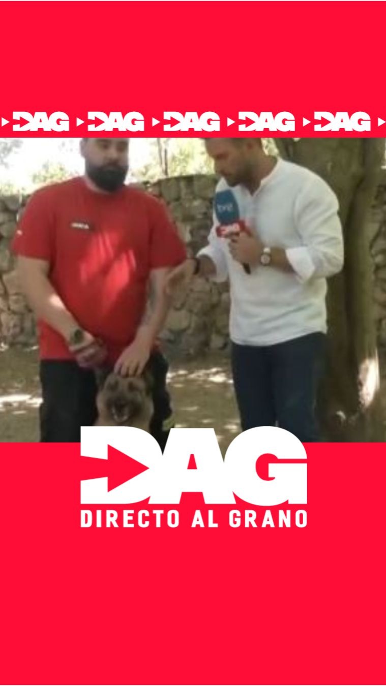 Gara localiza víctimas con ladridos en ejercicio de marcaje en Venezuela