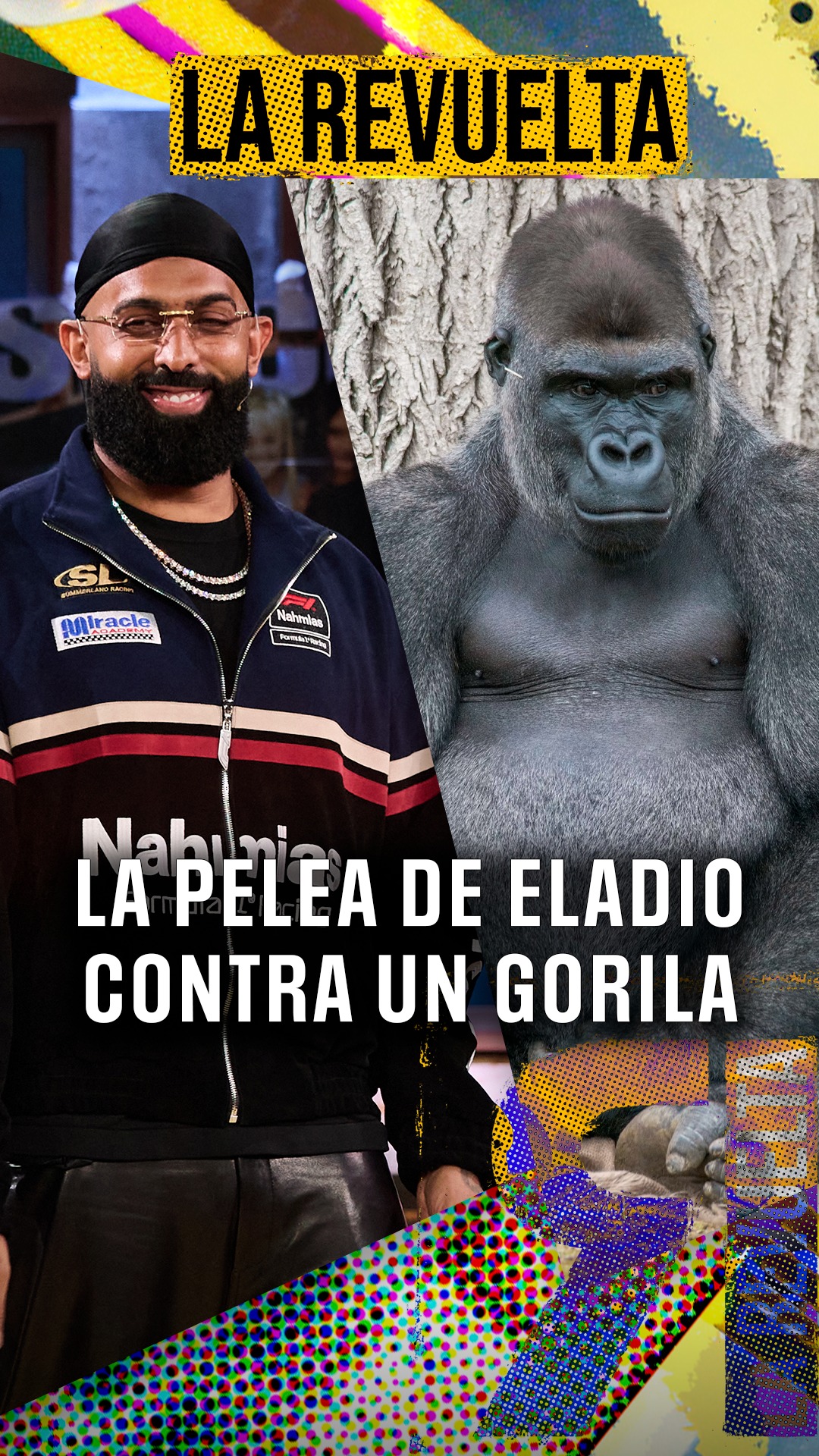 ¿Gorila o oso? El debate sobre con qué animal preferirías pelear