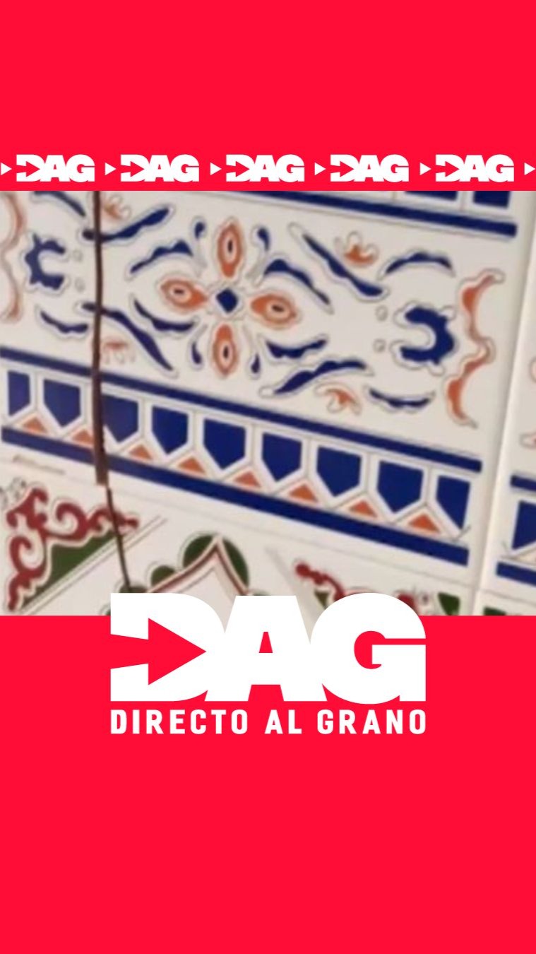Dos árboles desbocados amenazan con derrumbar viviendas en el centro de Almería
