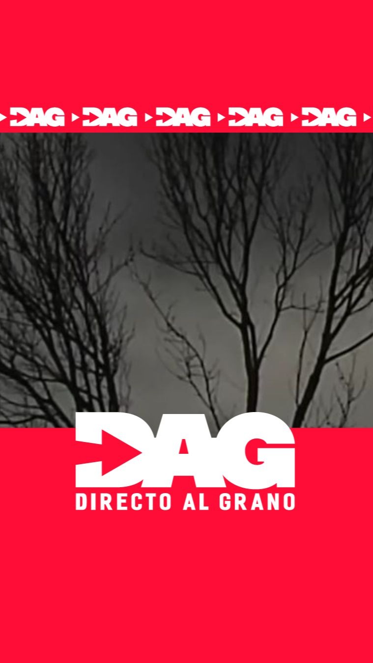 Un rayo podría haber matado a un joven de 15 años refugiado bajo un árbol