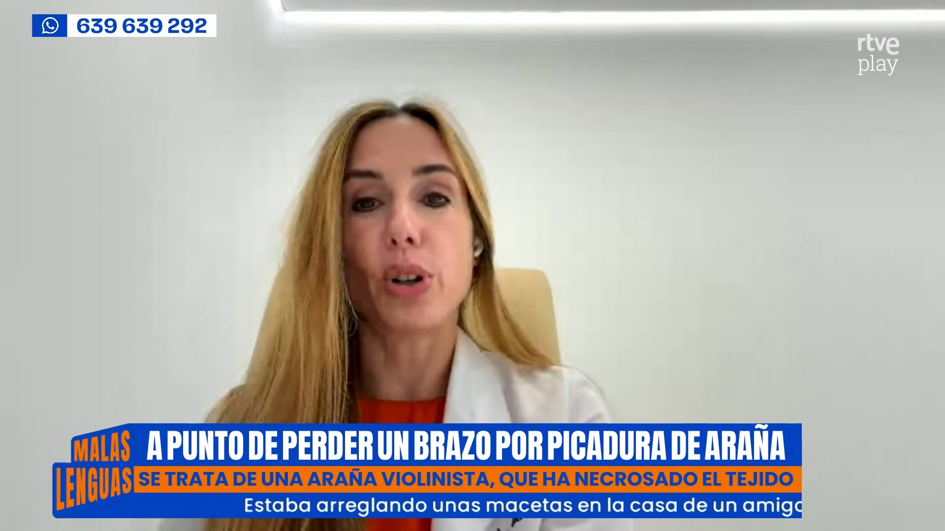 Casi pierde el brazo por picadura de araña violinista en Málaga