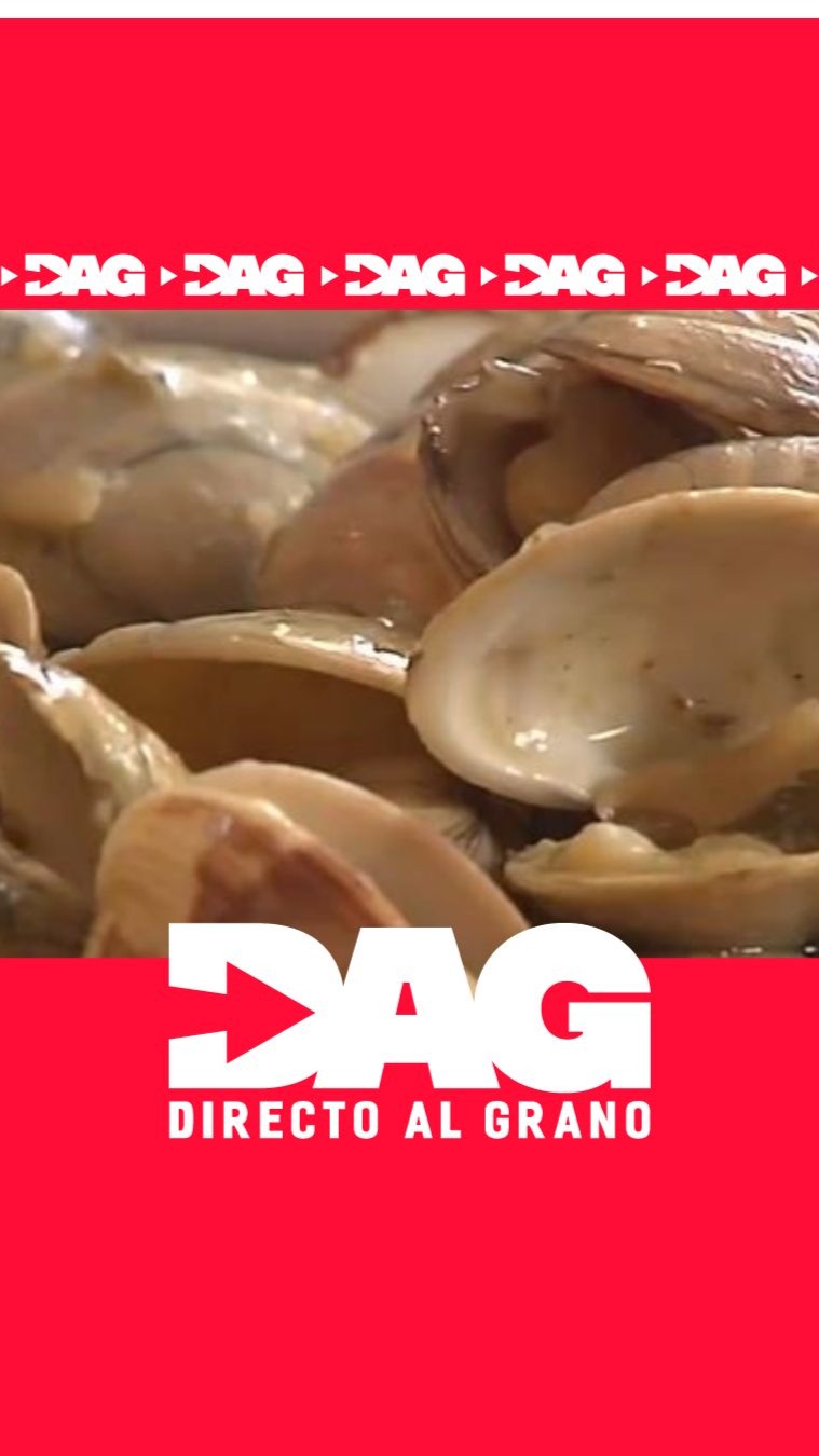 Vibrio carnívora en Galicia: el riesgo crece por aguas más cálidas
