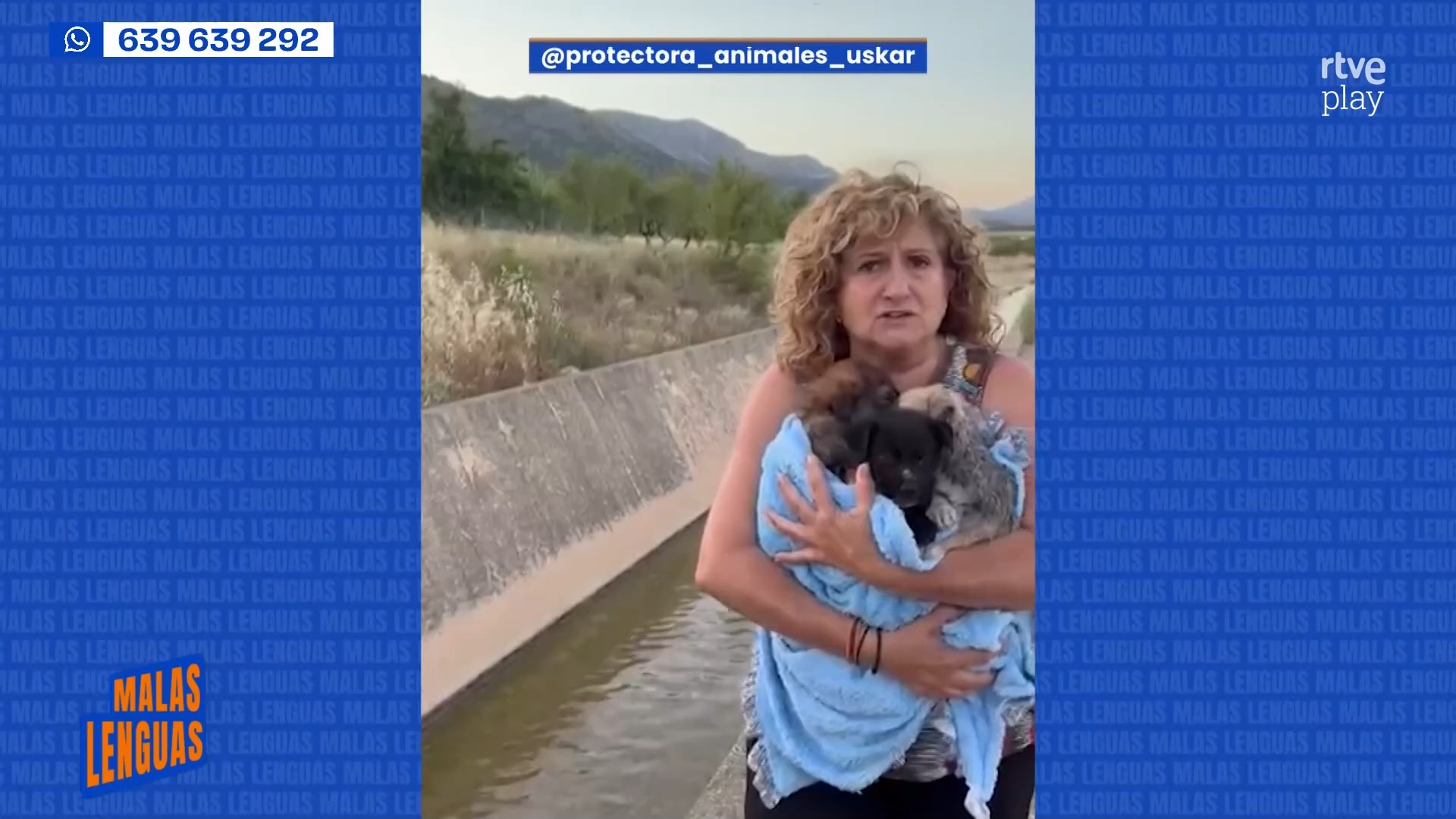 Rescatan a dos cachorros tirados a un canal en Huéscar tras perder a uno