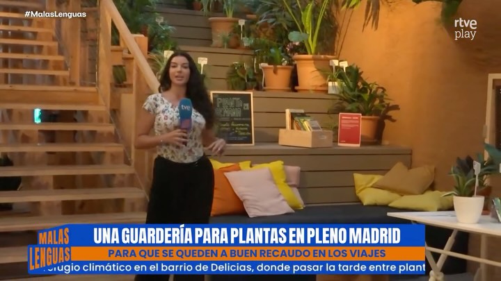 Guarderías de plantas: el refugio verde que cuida tus amigas en vacaciones