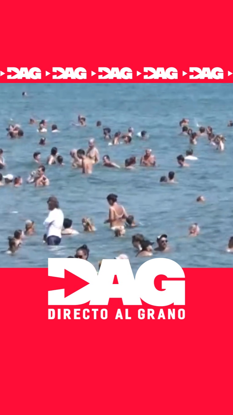 Orinar en el mar beneficia a la flora marina gracias a la urea