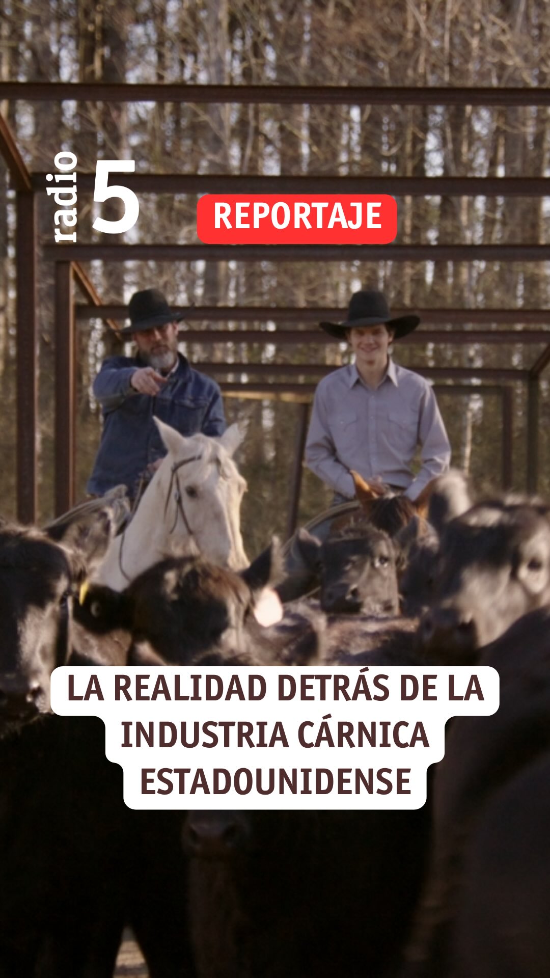 Inmigrantes mueren en mataderos de EE.UU. mientras Trump promociona la industria cárnica