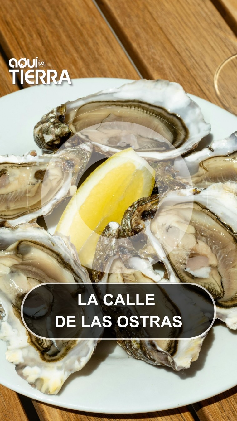 ¿Por qué en Vigo las ostras se venden en la calle desde hace más de 100 años?