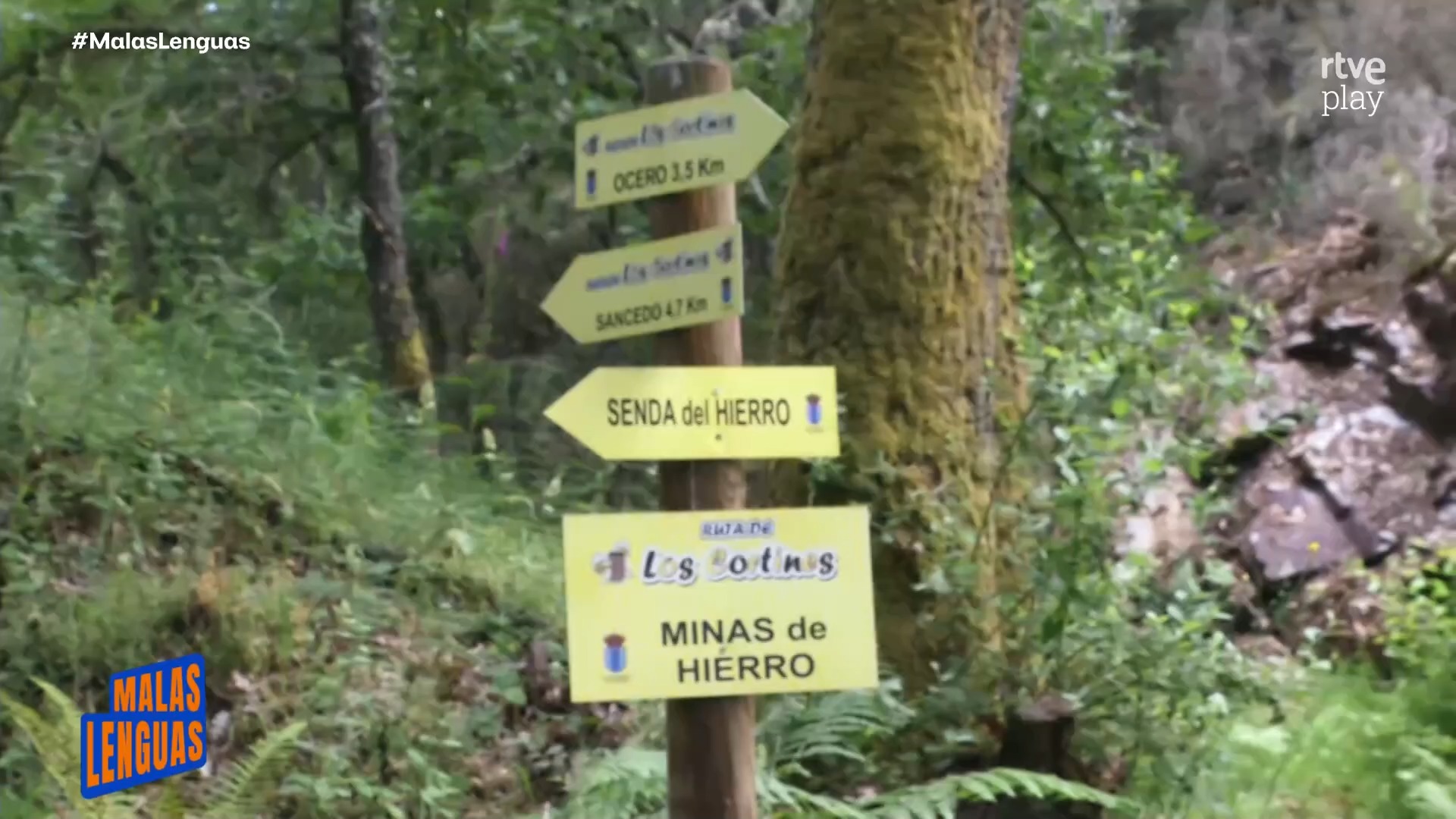 El secreto del Tozudo: el queso azul que madura en una mina del Bierzo