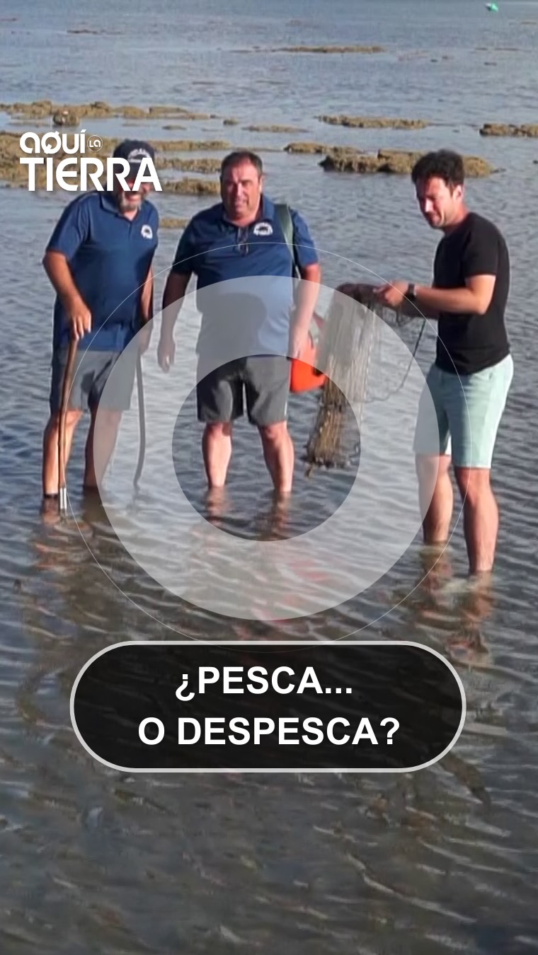 Corrales de Rota: David enseña a José a despescar con francajo y atarraya
