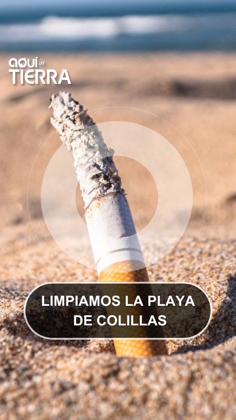 En Cádiz recogen 2.000 colillas por hora para salvar los océanos