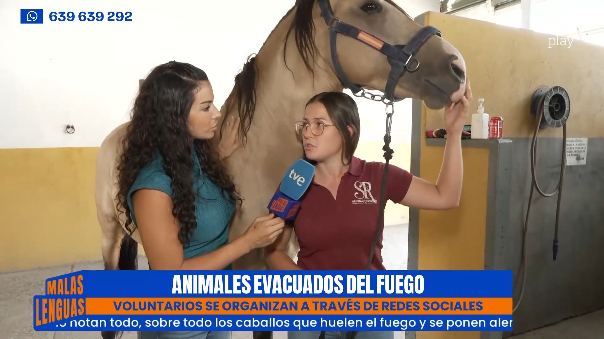 Rocío y Natalia rescatan animales de los incendios sin descanso ni ayuda oficial