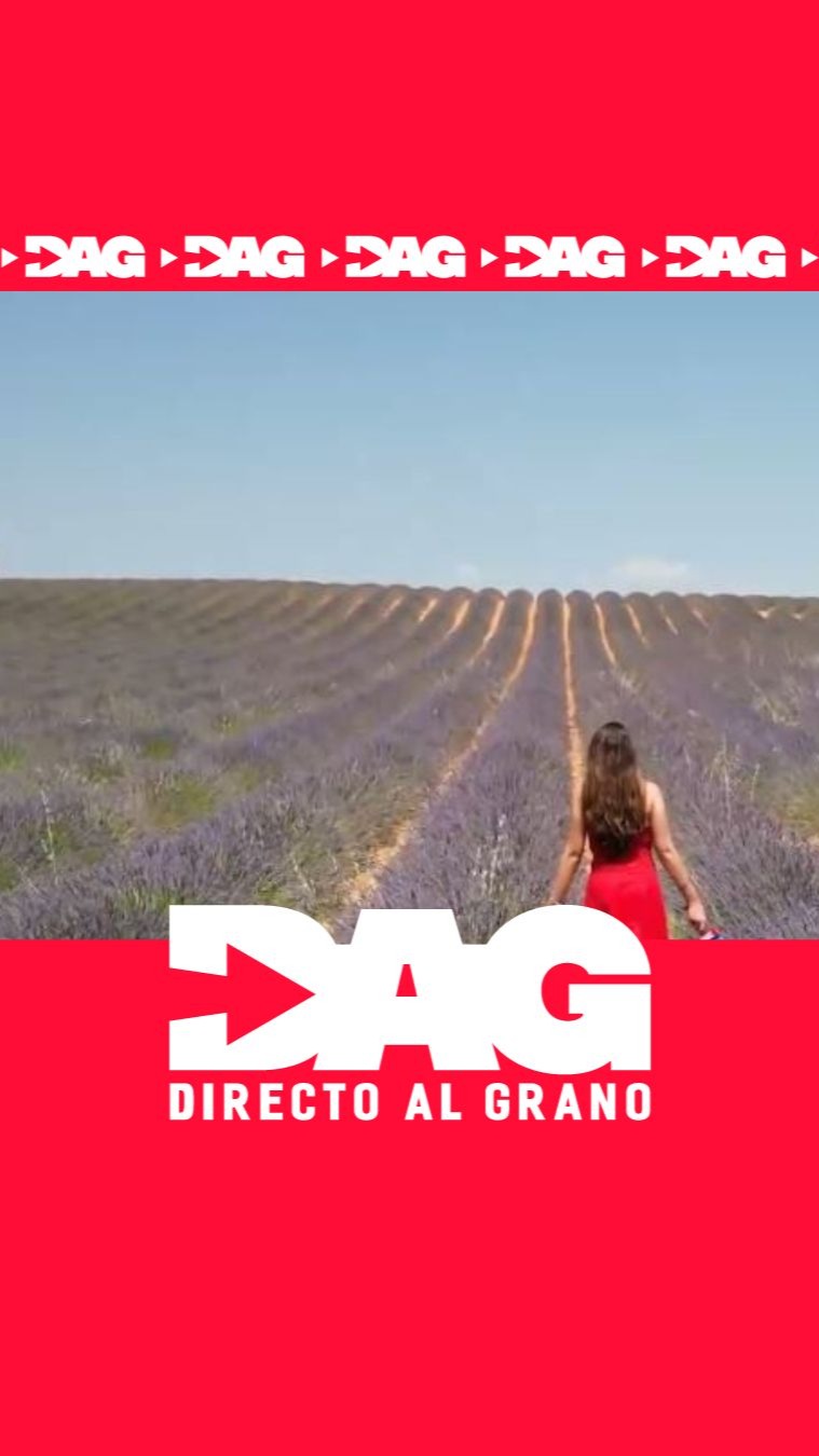🟣Comienza en Brihuega, Guadalajara, el Festival de la Lavanda que fusiona música y gastronomía en los campos de lavanda.