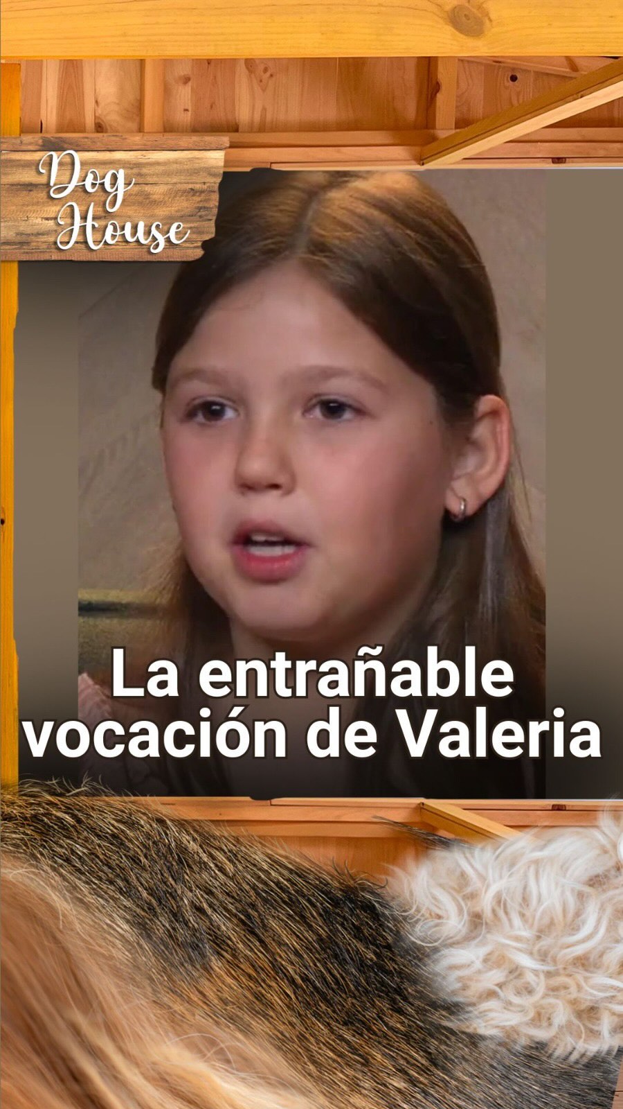 Niña rechaza estudiar y sueña con abrir su propia gofrería