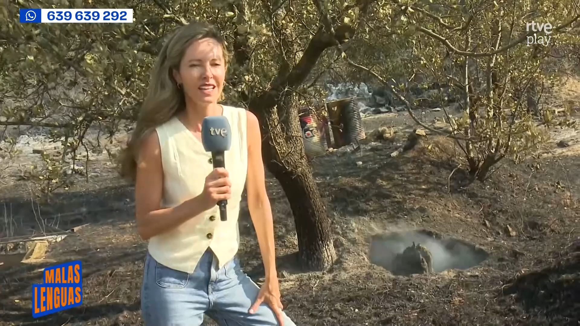 Los rescoldos reavivan las llamas y amenazan las cosechas en Ávila