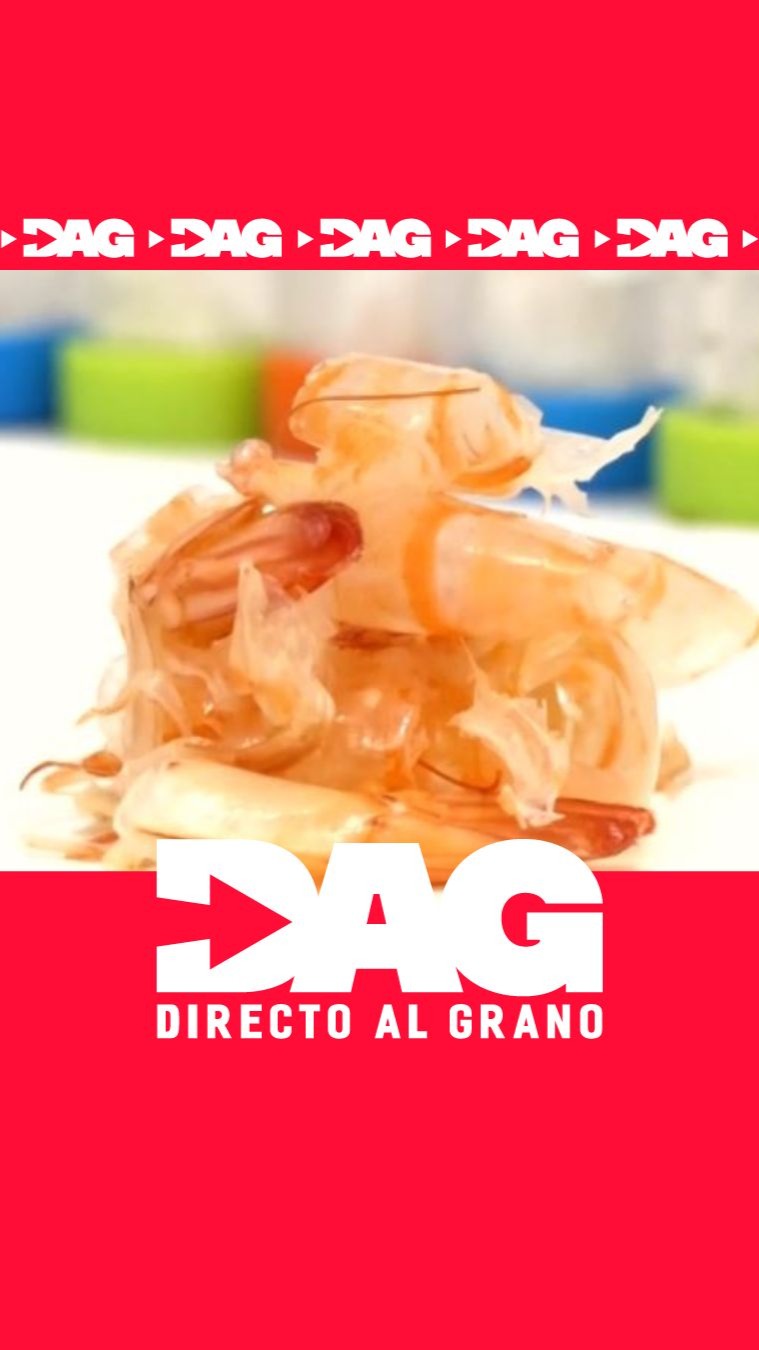 Investigadores de Sevilla crean hidrogel con gambas y algas para combatir la sequía
