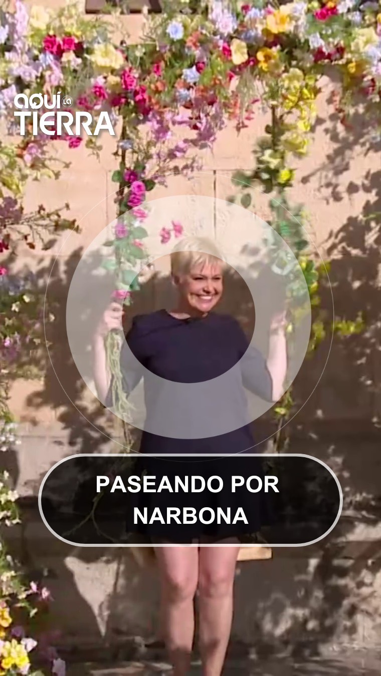 Virginie guía por Narbona: catedral gótica y canal patrimonio mundial