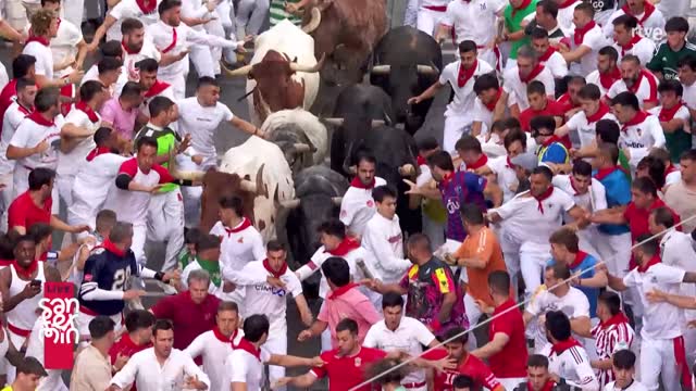 Al toro hay que respetarlo: agarrar el pitón es una falta supina