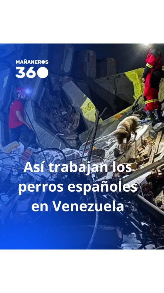 Tsunami y otros perros rescatan a cientos de víctimas en Venezuela tras los terremotos
