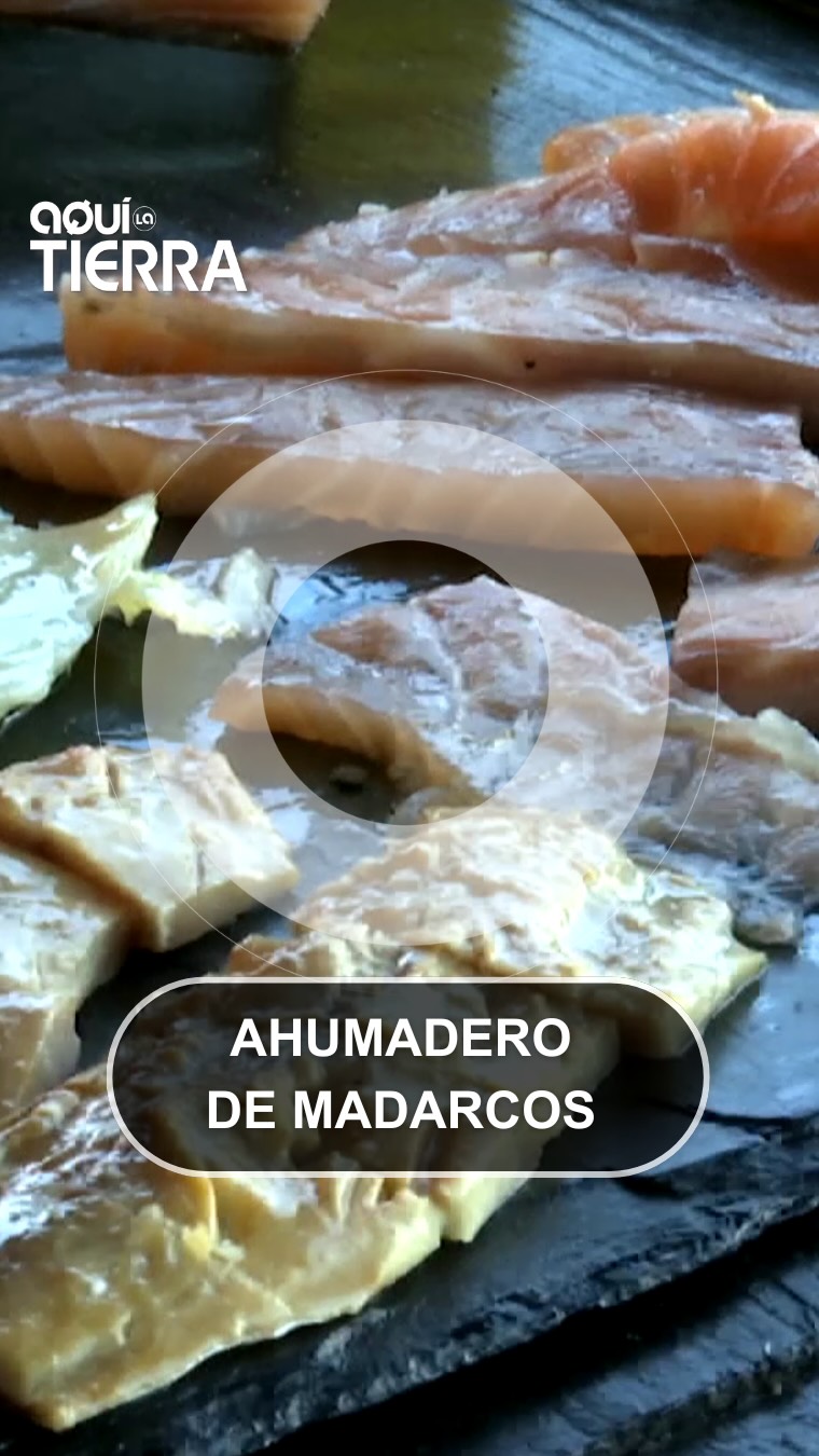 Ahumado de salmón con humo de haya: el proceso tradicional en frío
