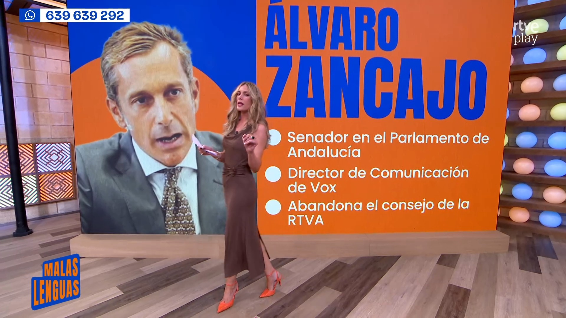 Zancajo admite que incumplió la ley al compaginar cargos en Vox y Canal Sur