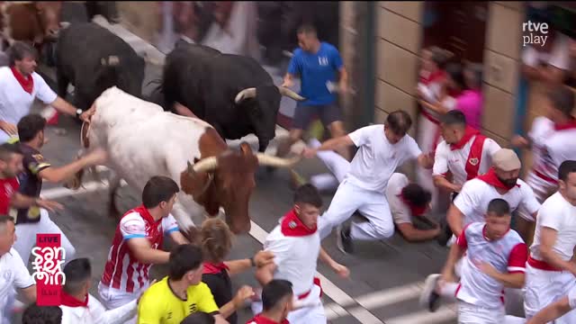 Caídas en carreras con animales: el instinto de supervivencia decide en milésimas de segundo