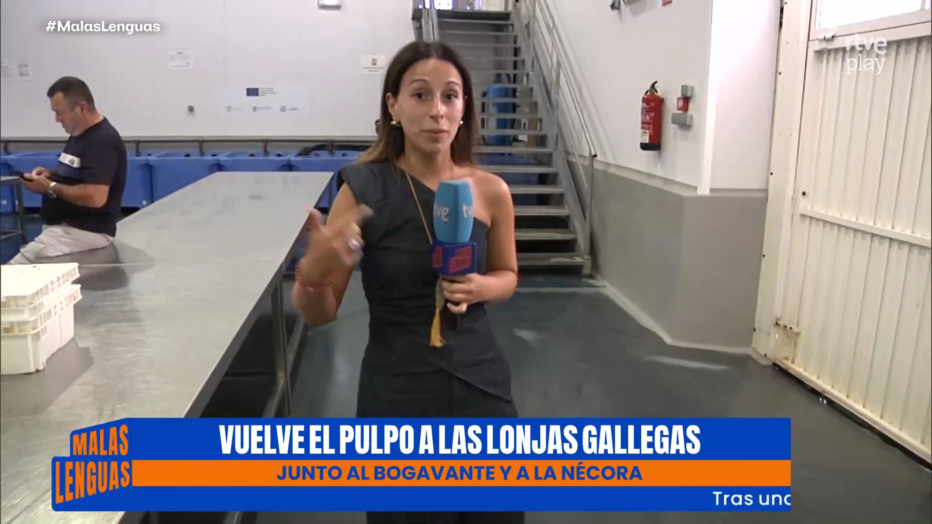 Las lonjas gallegas recuperan el pulpo hasta mediados del próximo año