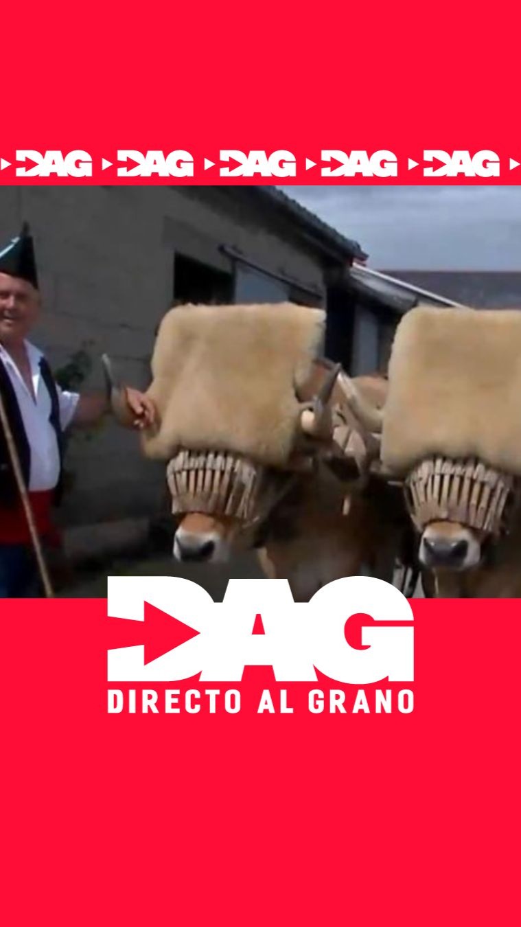 Novios a caballo y tradición vaqueira: así se casan en la Asturias rural