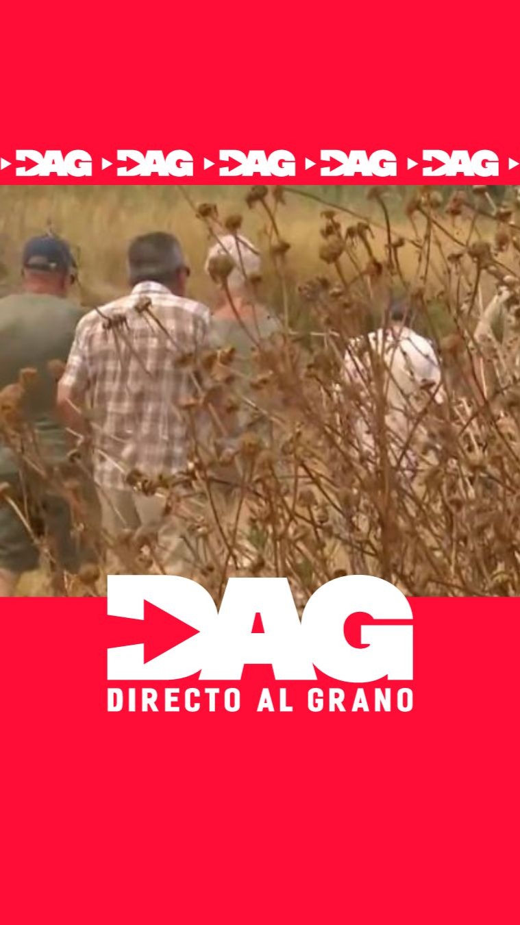 Vecinos de Riva Roja viven atrapados entre cañas secas y riesgo de incendio