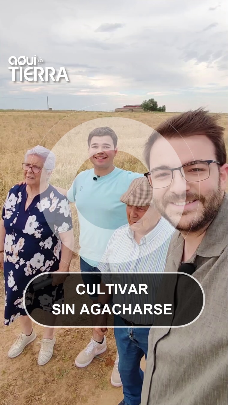 Pablo automatiza el huerto: lechugas sin cavar ni esfuerzo físico