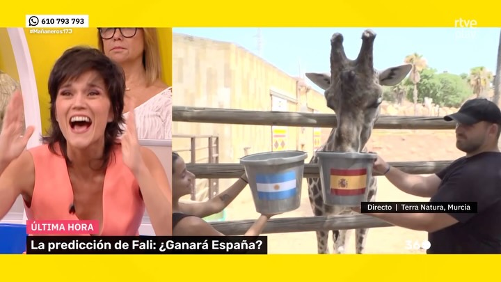 Fali pide más comida: la fama se le sube a la cabeza