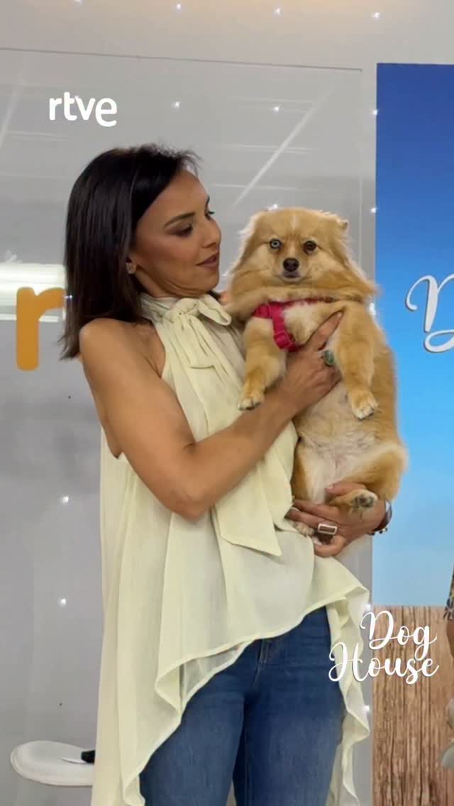 Adoptar un perro tras una pérdida: responsabilidad o apoyo emocional