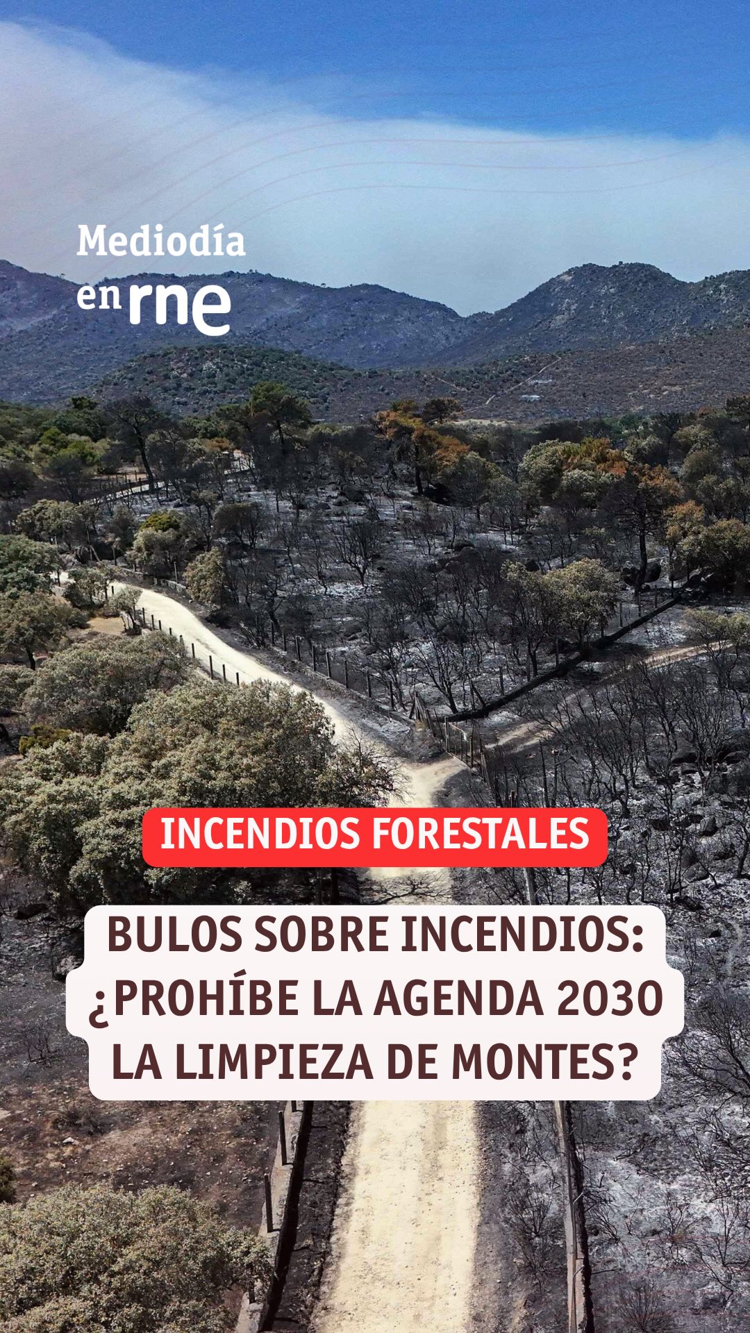 Ni la ley de montes ni la Agenda 2030 prohíben limpiar los montes
