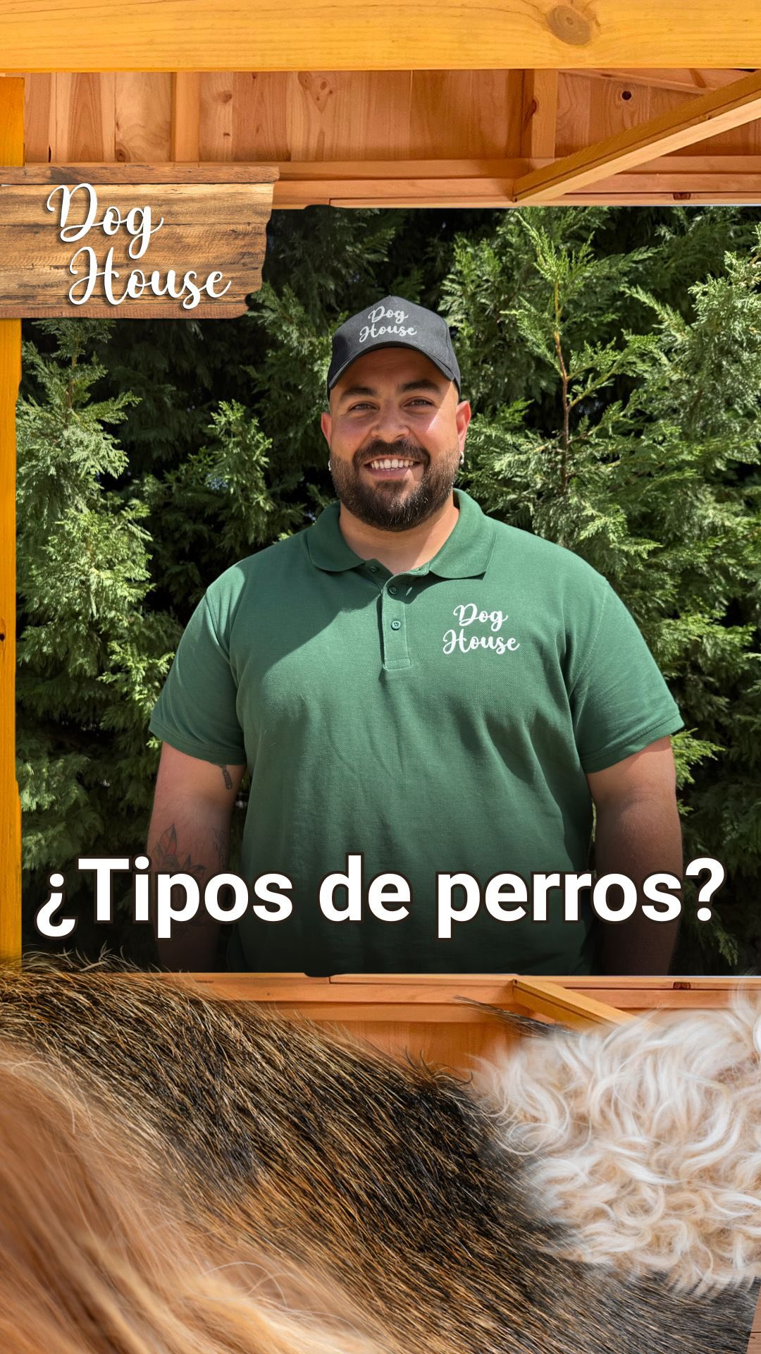 ¿Conoces a tu perro? Estas son las tipologías que quizás desconoces