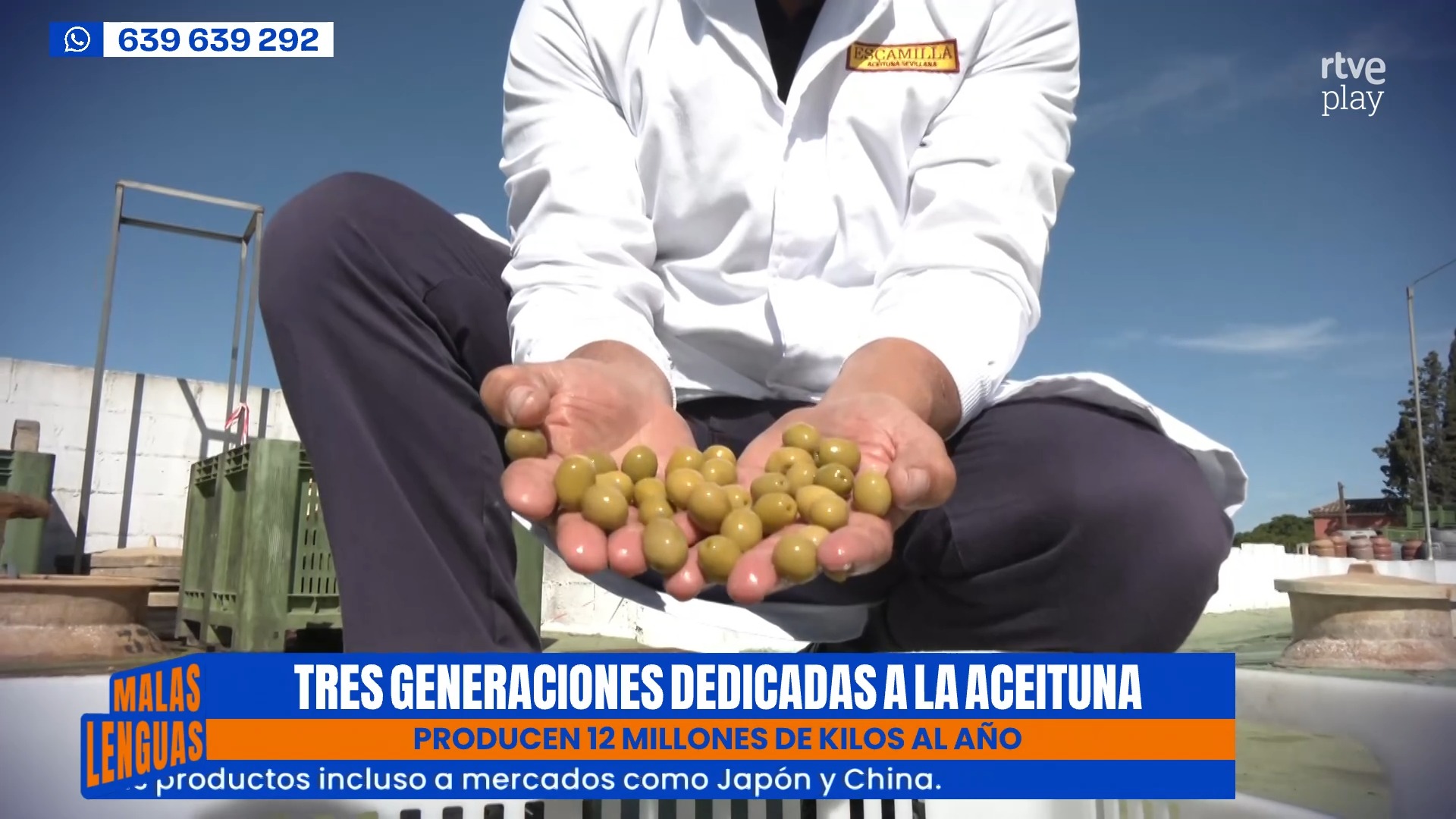 Tres generaciones convierten un almacén familiar en exportadora de 12 millones de kilos